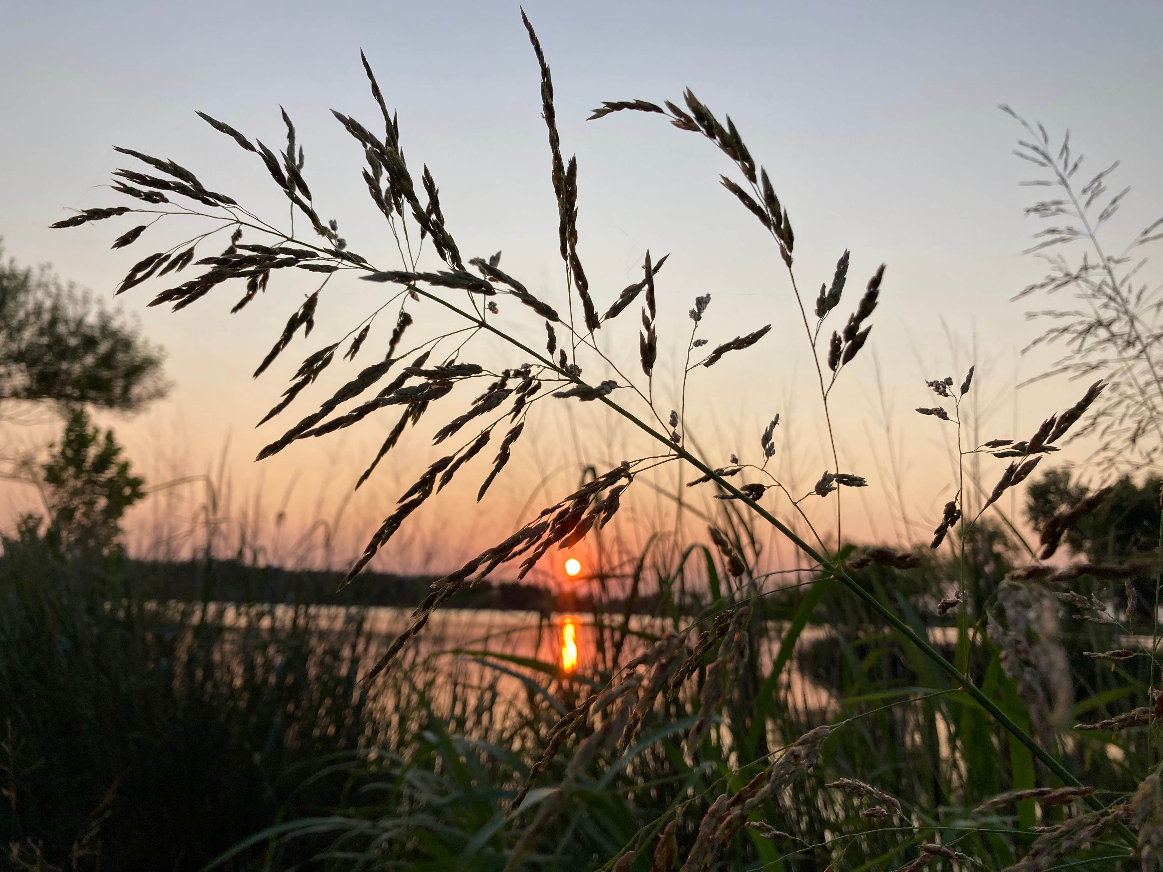 Camper-submitted photo at Liberty Lake near Choctaw, OK