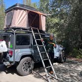 Review photo of Henry Cowell Redwoods State Park Campground by tan N., April 11, 2022