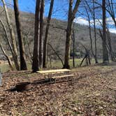 Review photo of Danner Primitive Campground by Casey L., April 11, 2022