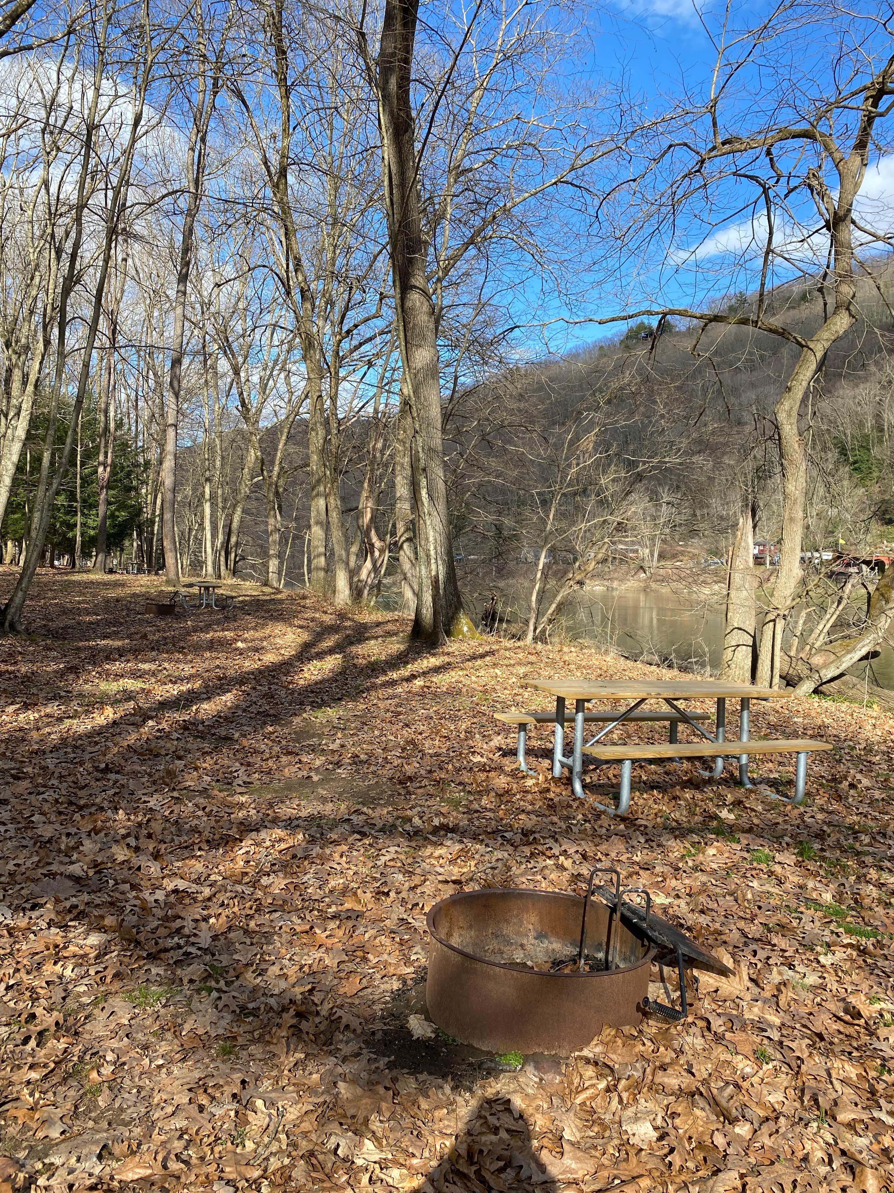 Camper submitted image from Danner Primitive Campground - 5