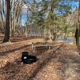 Review photo of Danner Primitive Campground  by Casey L., April 11, 2022