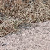 Review photo of Moss Lake Area — Enchanted Rock State Natural Area by Ari A., April 11, 2022