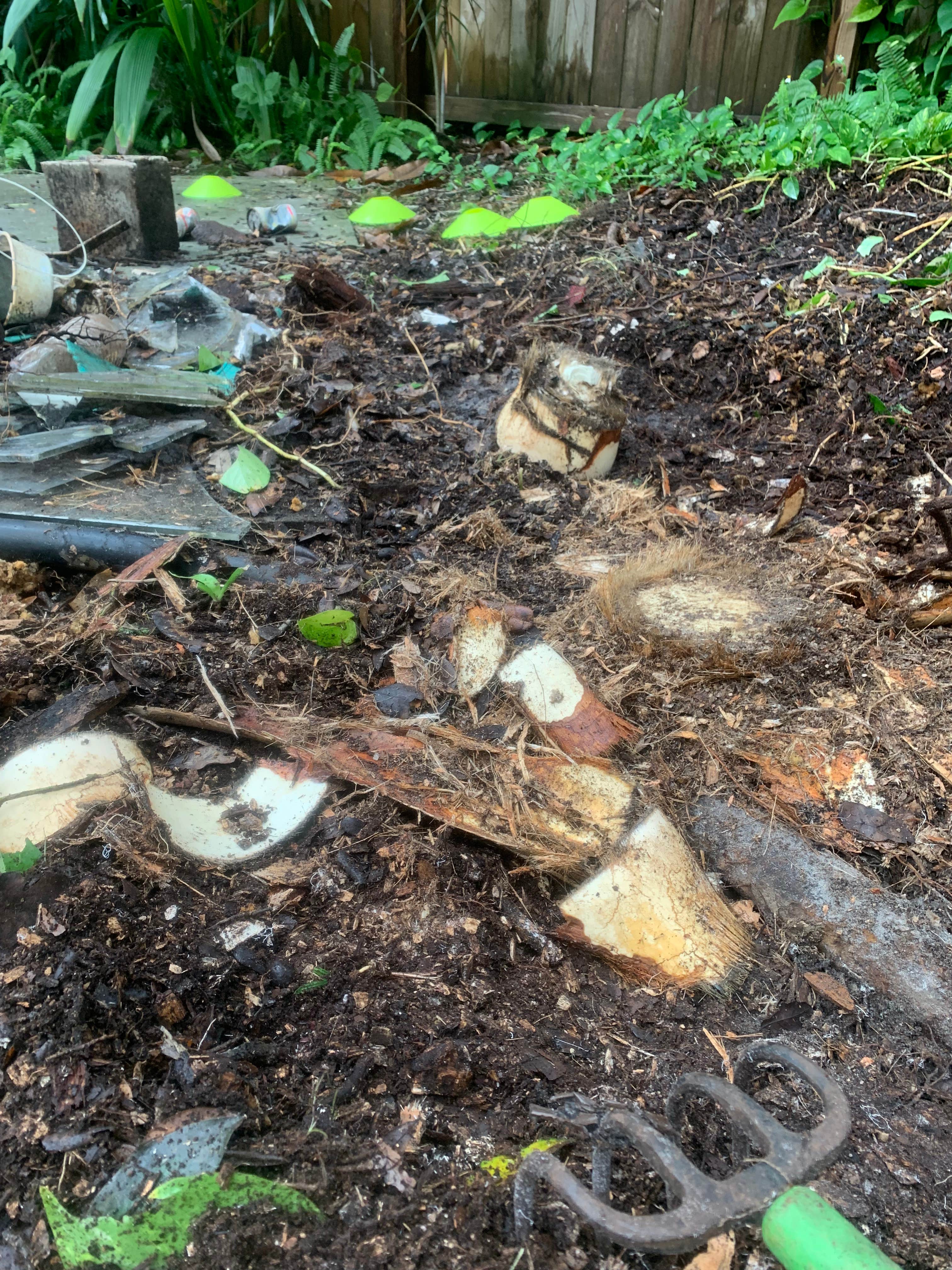 Camper-submitted photo at Bayou Bliss near Sarasota, FL