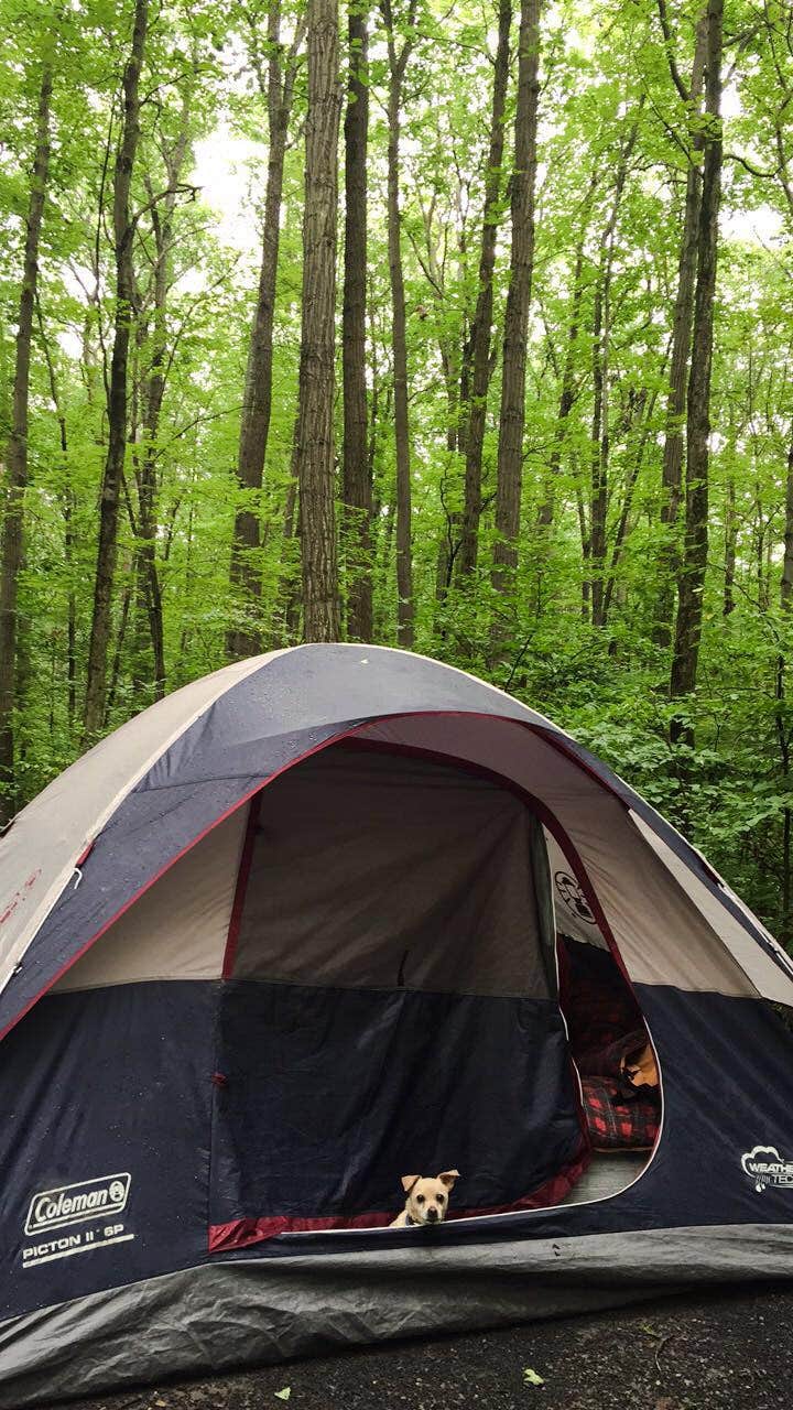 Casey L.'s photo at Blueberry Patch Campground — Green Mountain & Finger Lakes National Forests near Willard, NY