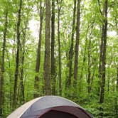 Review photo of Blueberry Patch Campground — Green Mountain & Finger Lakes National Forests by Casey L., April 11, 2022