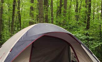 Casey L.'s photo at Blueberry Patch Campground — Green Mountain & Finger Lakes National Forests near Willard, NY
