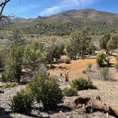 Review photo of Lovell Canyon Dispersed Camping (Spring Mountain) by Cresta P., April 11, 2022