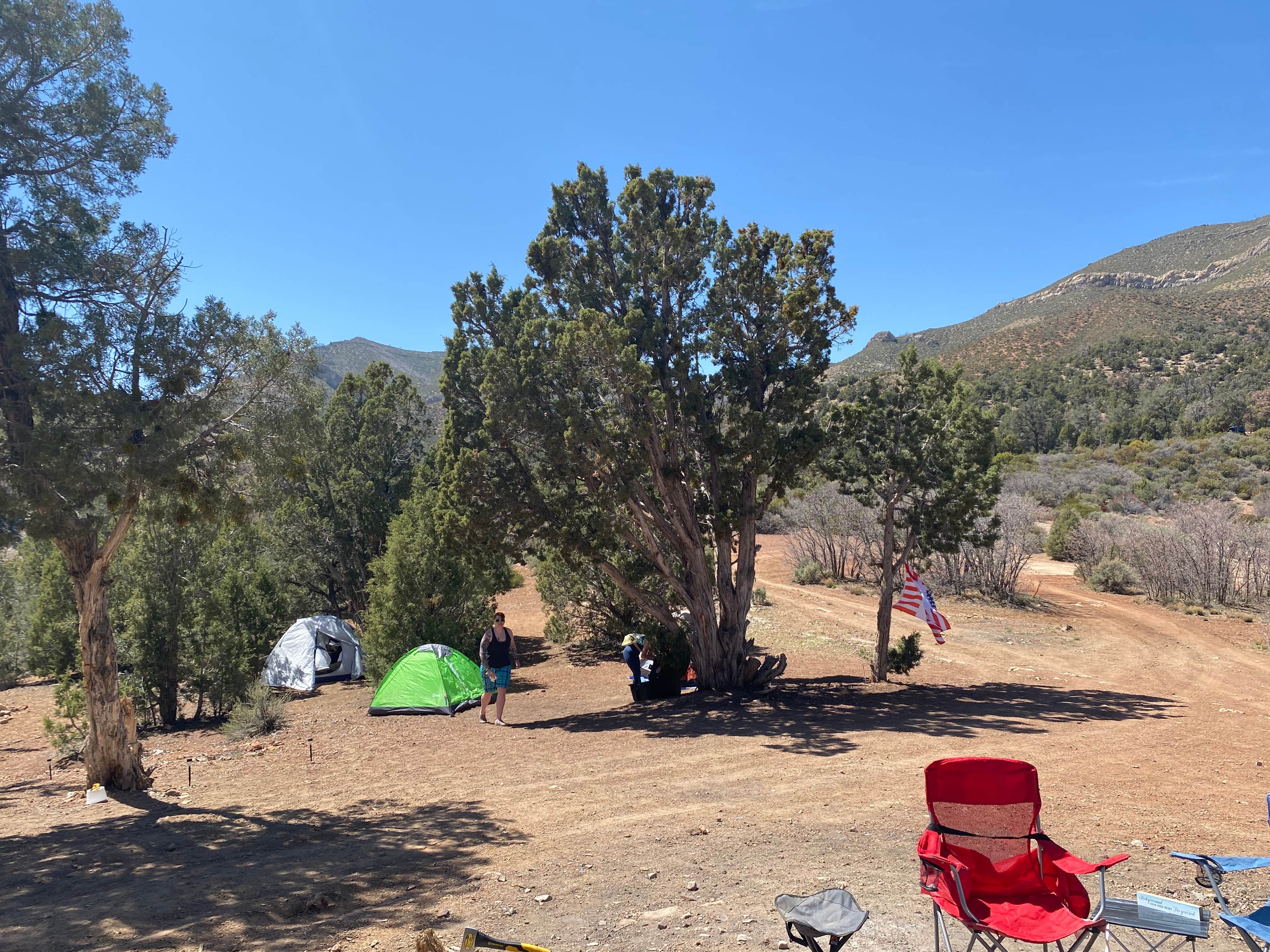 Cresta P.'s photo at Lovell Canyon Dispersed Camping (Spring Mountain) near Tecopa, CA