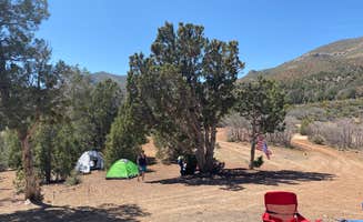 Cresta P.'s photo at Lovell Canyon Dispersed Camping (Spring Mountain) near Mount Charleston, NV