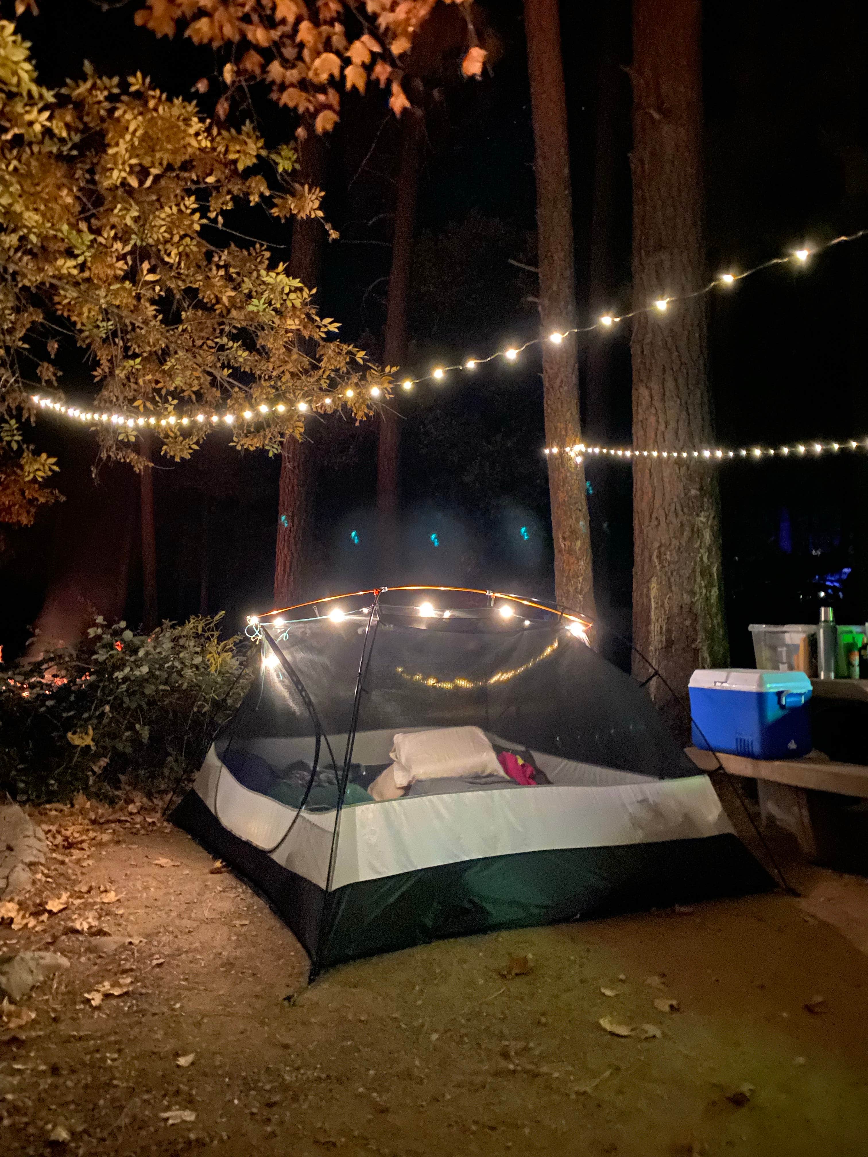 Cresta P.'s photo at Manzanita Campground near Munds Park, AZ