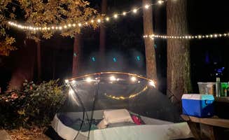 Cresta P.'s photo at Manzanita Campground near Sedona, AZ