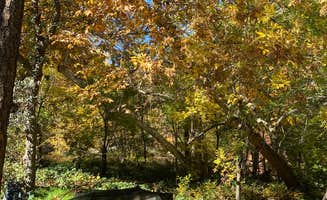 Cresta P.'s photo at Manzanita Campground near Sedona, AZ