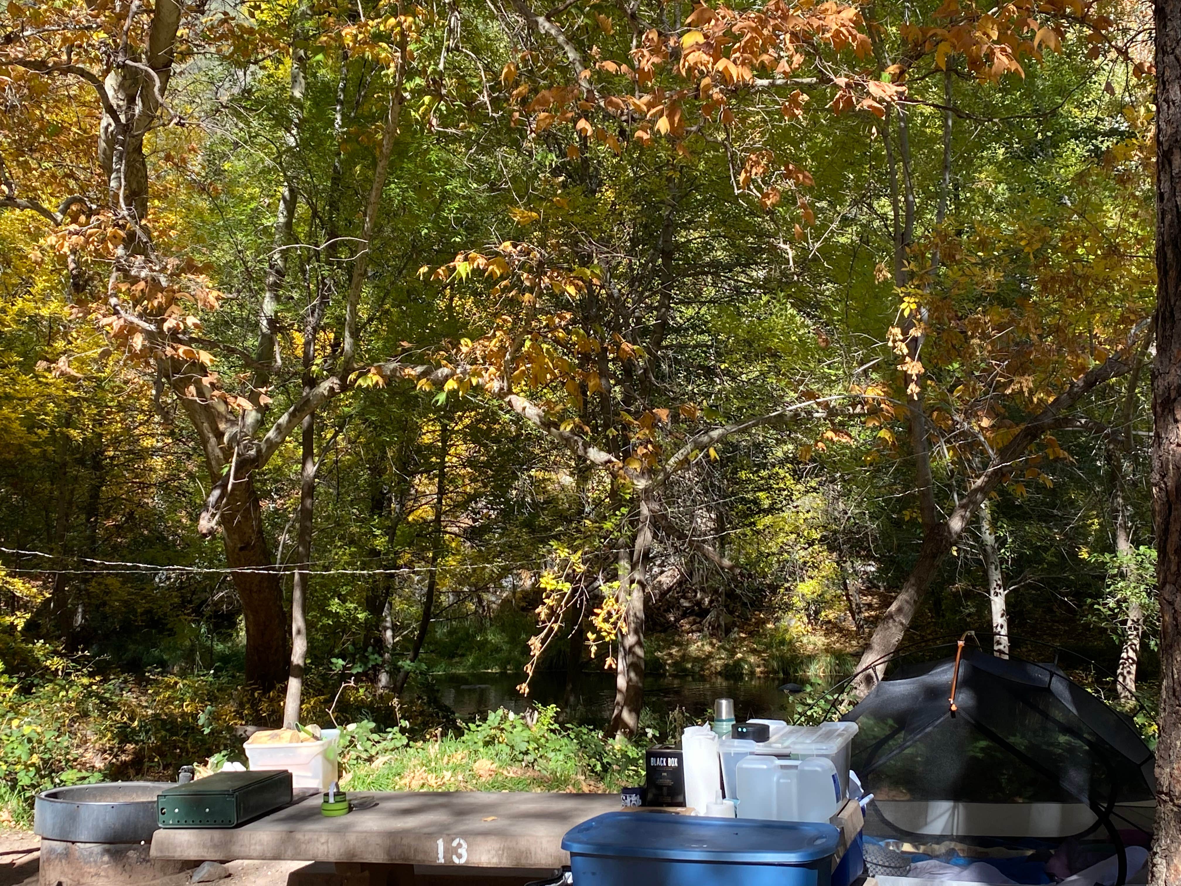 Cresta P.'s photo at Manzanita Campground near Munds Park, AZ