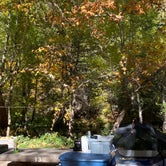Review photo of Coconino National Forest Manzanita Campground by Cresta P., April 11, 2022