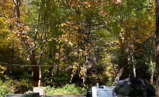 Cresta P.'s photo at Manzanita Campground near Munds Park, AZ