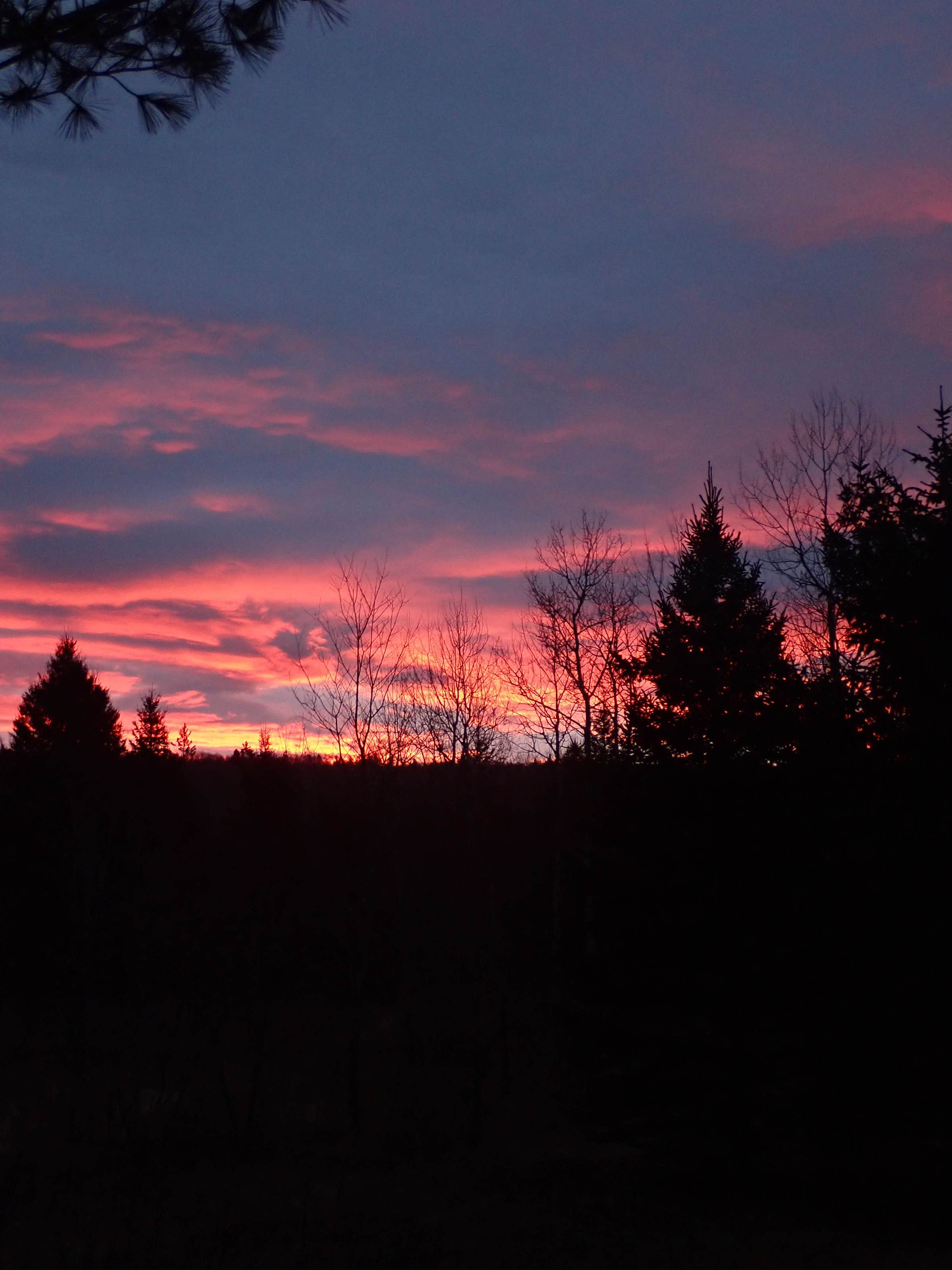 Camper-submitted photo at Nulhegan Confluence Hut near West Burke, VT
