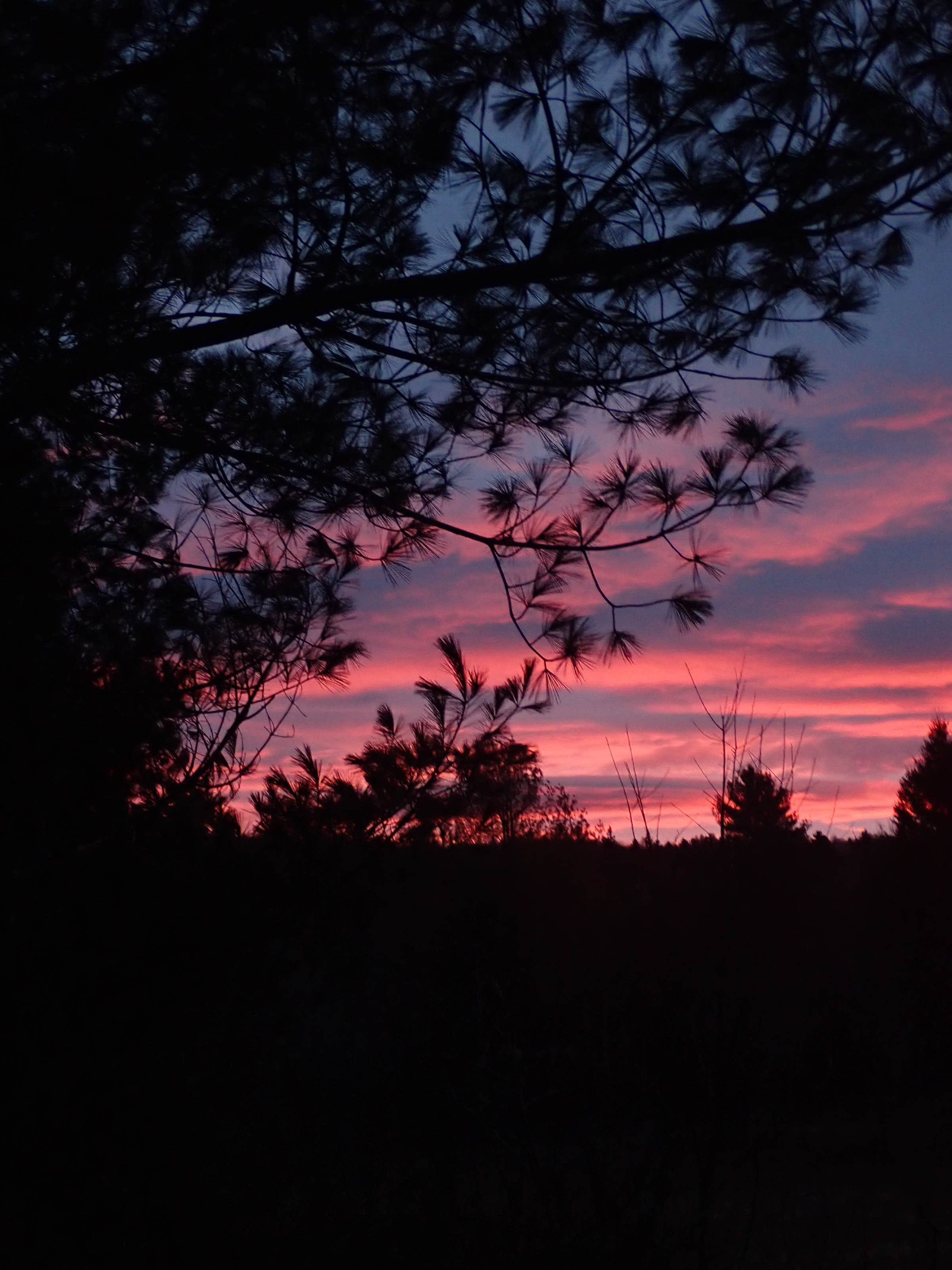 Camping near Brighton State Park Campground: Nulhegan Confluence Hut, North Stratford, Vermont