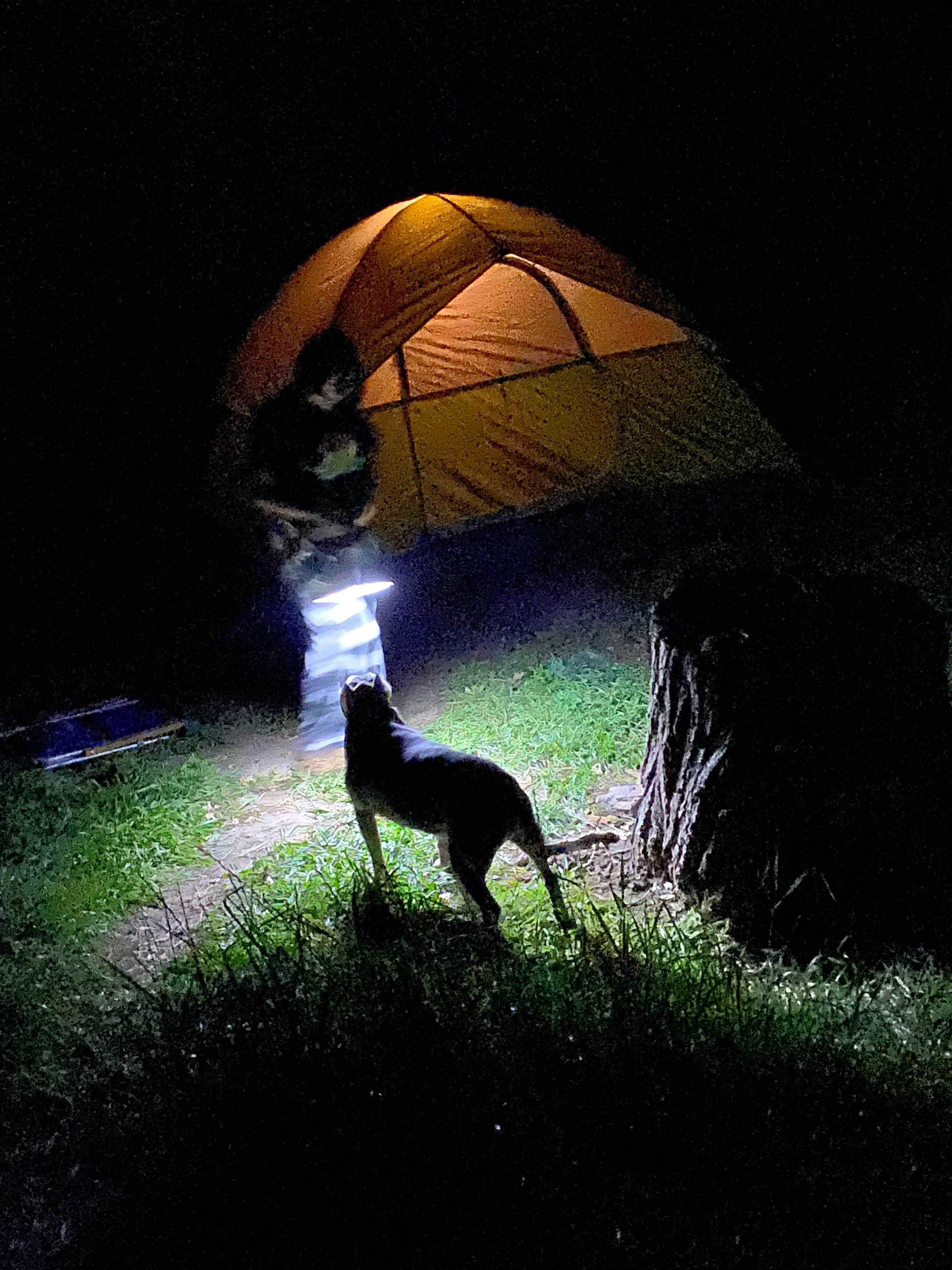 Camper submitted image from White Bridge - 2