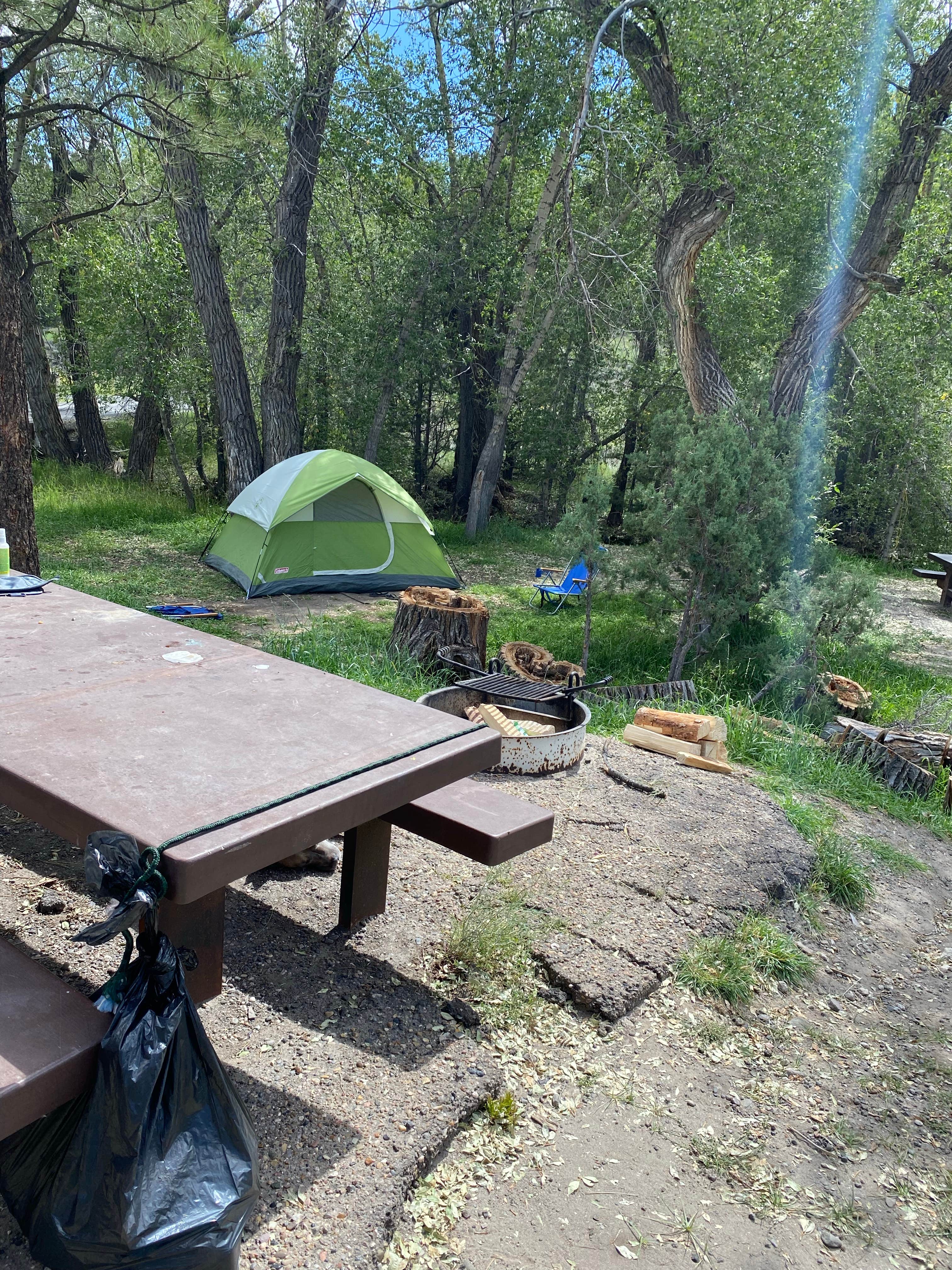 Cresta P.'s photo at White Bridge near Dixie National Forest