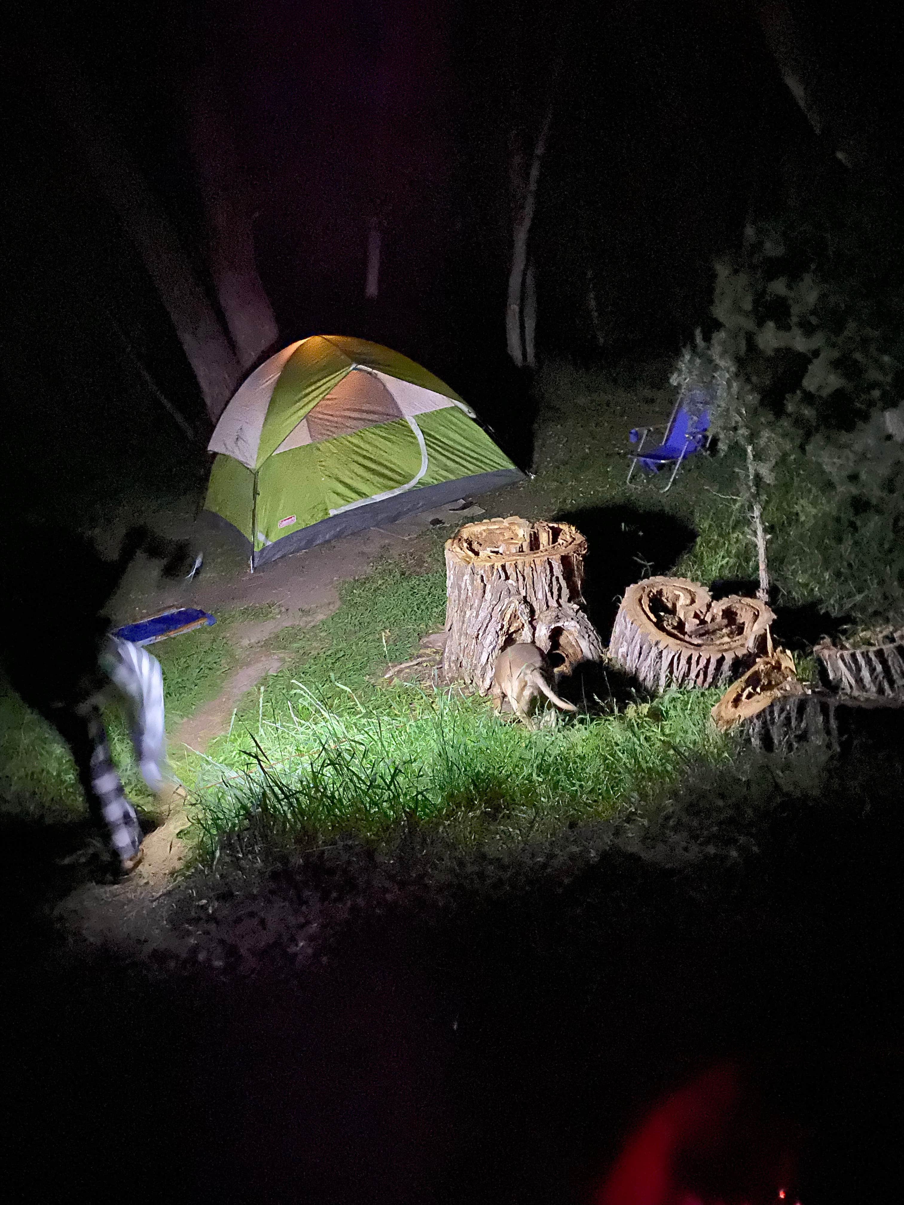 Cresta P.'s photo at White Bridge near Summit, UT