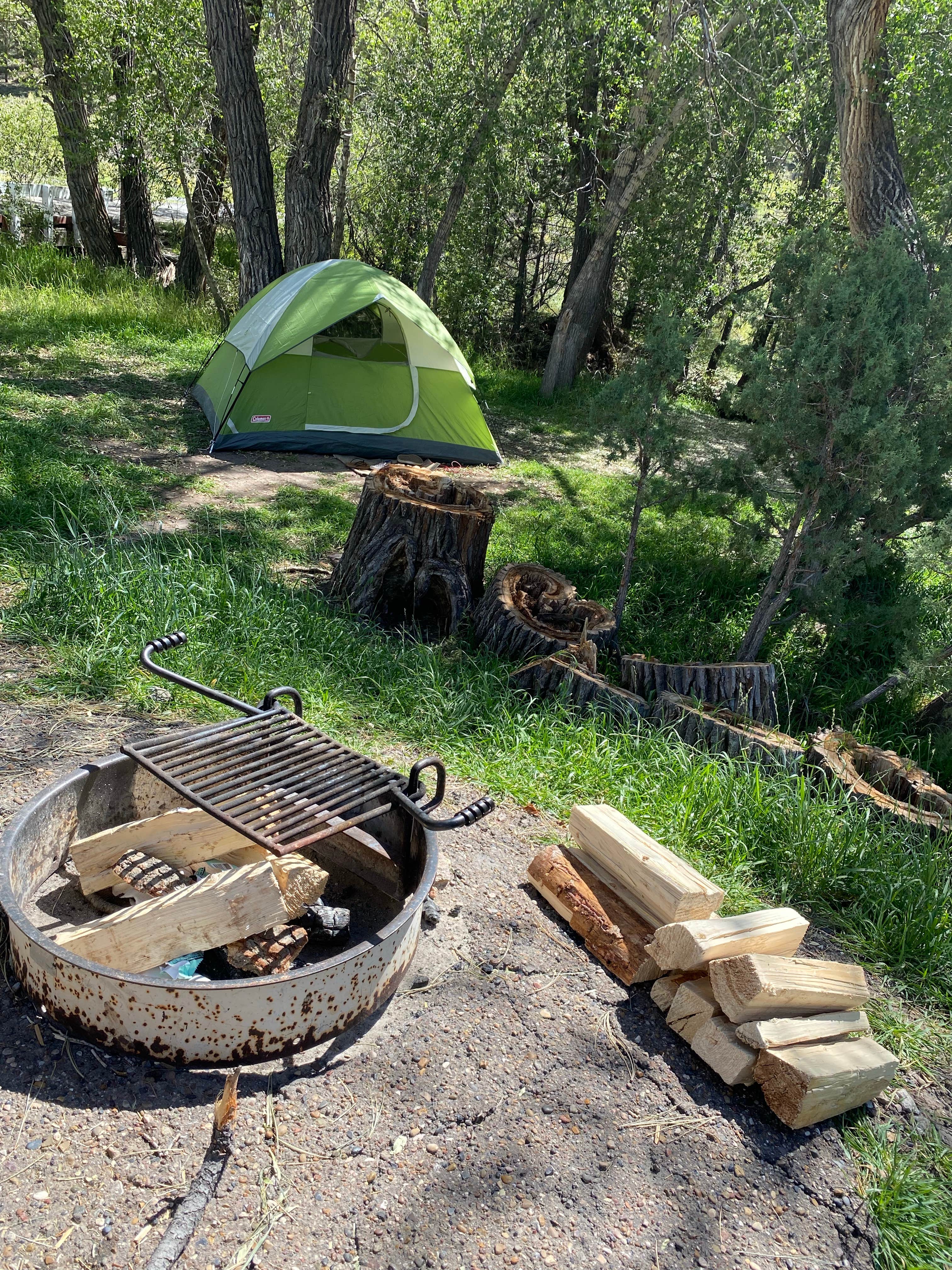 Cresta P.'s photo at White Bridge near Dixie National Forest