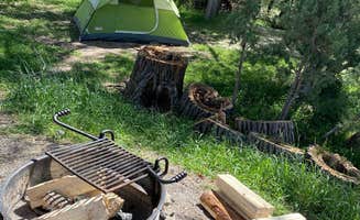 Cresta P.'s photo at White Bridge near Dixie National Forest