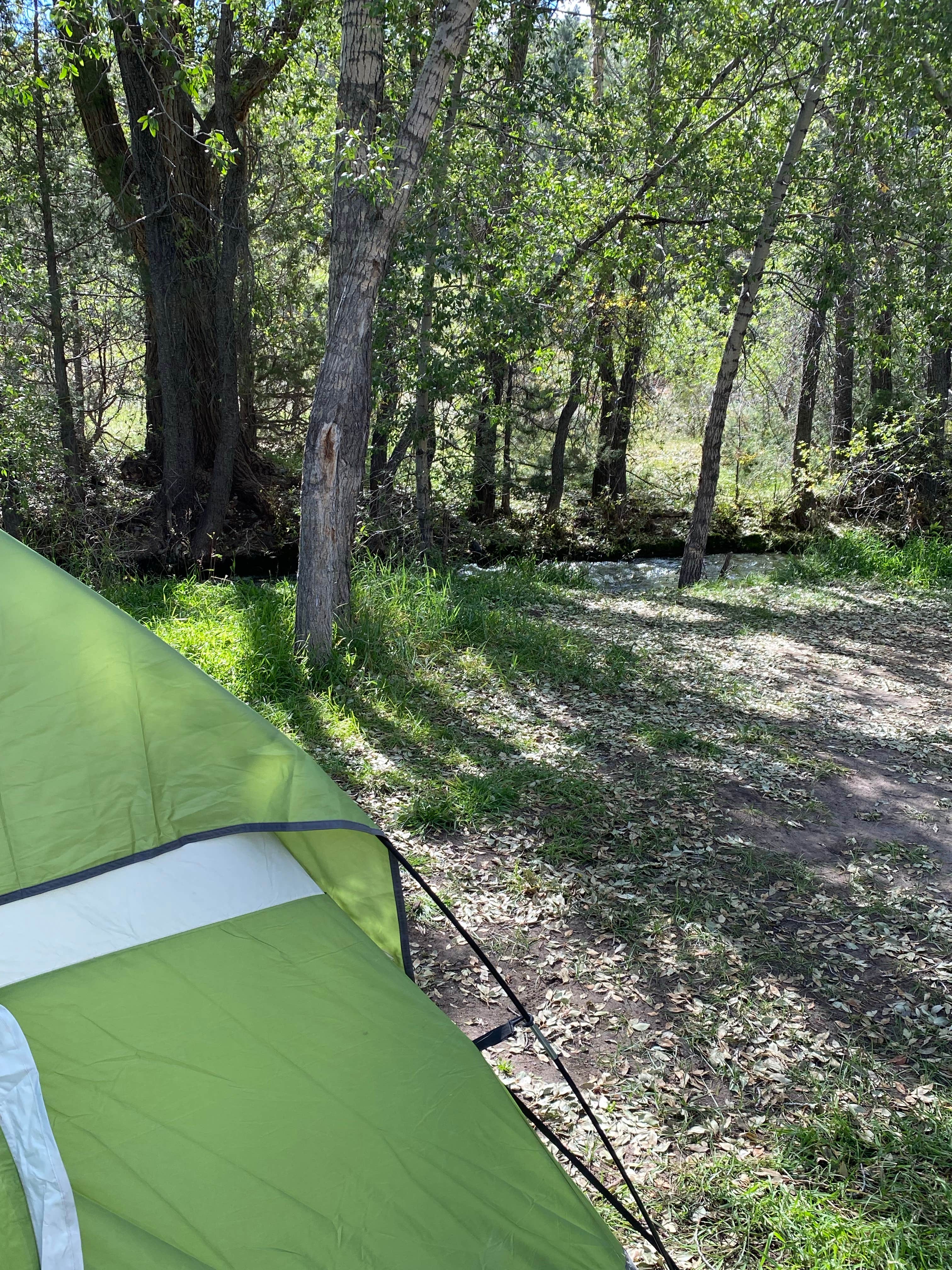 Cresta P.'s photo at White Bridge near Panguitch, UT