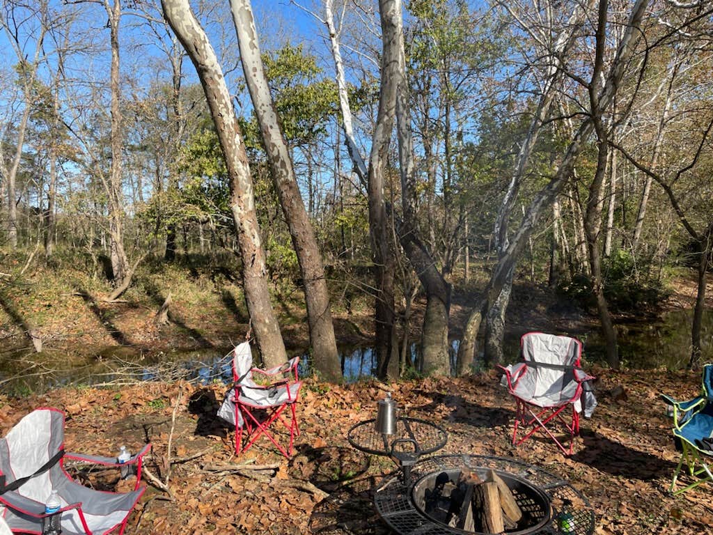 Camper-submitted photo at Berryville Berries near Winchester, VA