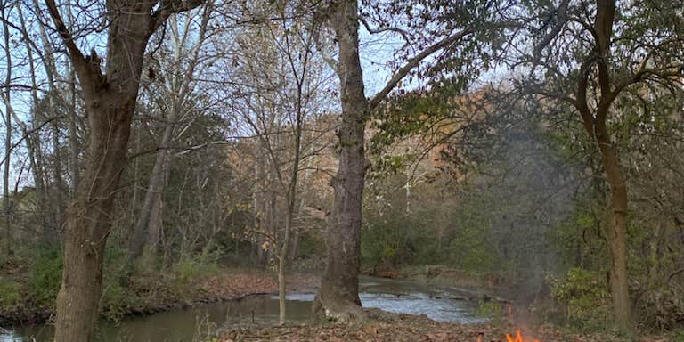 Camper submitted image from Berryville Berries