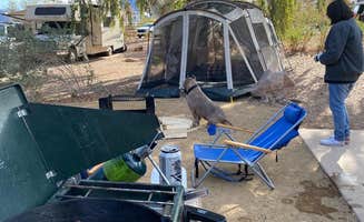 Cresta P.'s photo of camping with pets at Boulder Beach Campground — Lake Mead National Recreation Area near Willow Beach, AZ