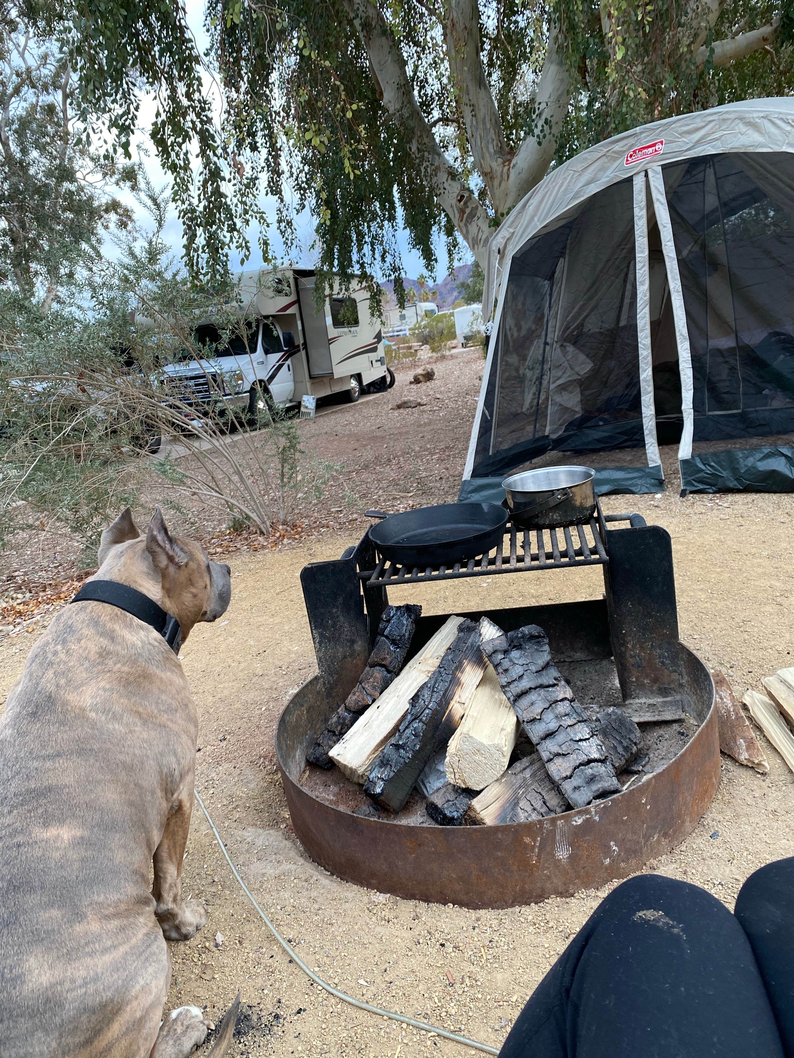 Cresta P.'s photo at Boulder Beach Campground — Lake Mead National Recreation Area near Meadview, AZ