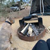 Review photo of Boulder Beach Campground — Lake Mead National Recreation Area by Cresta P., April 11, 2022
