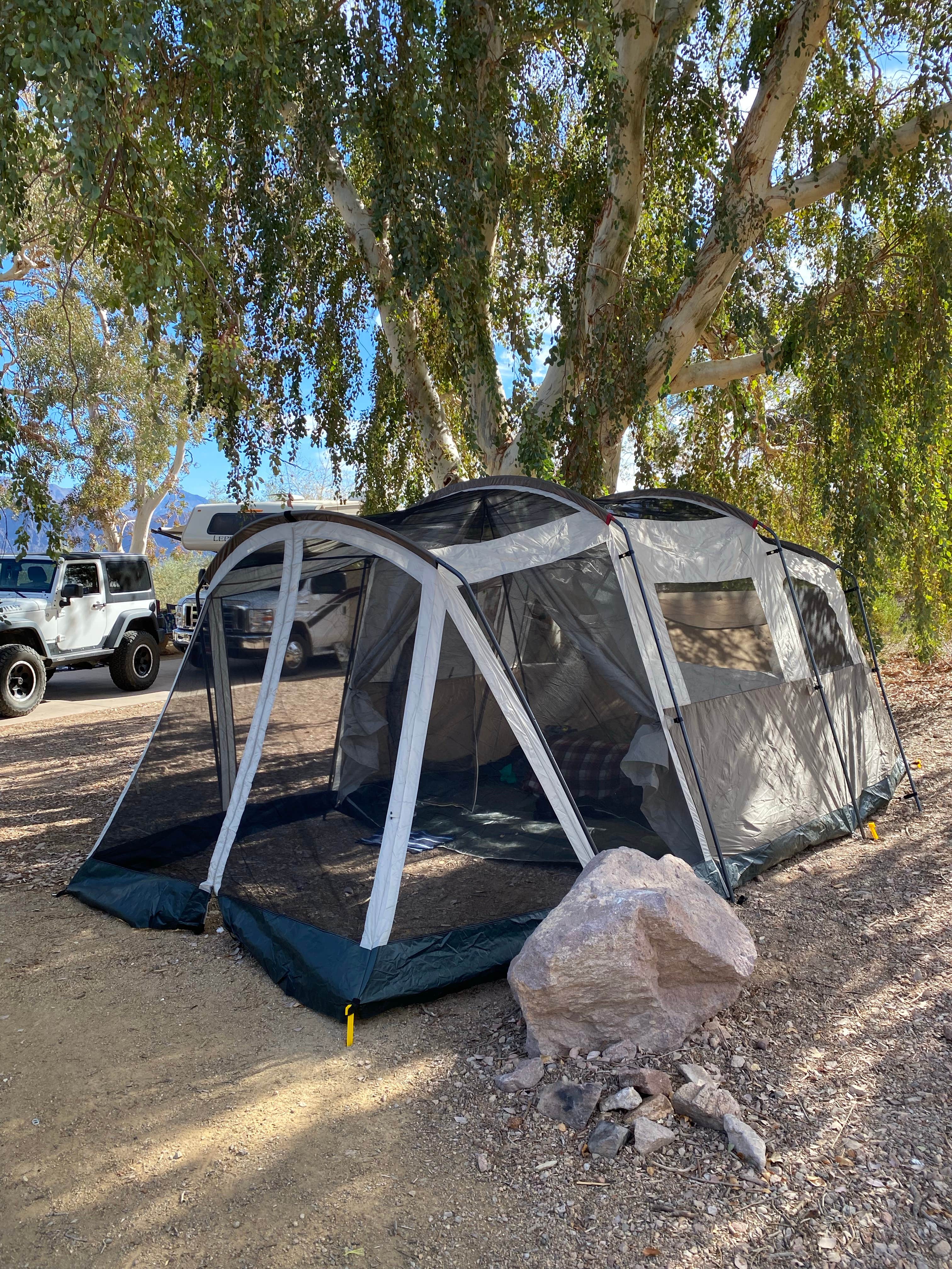 Cresta P.'s photo at Boulder Beach Campground — Lake Mead National Recreation Area near Temple Bar Marina, AZ