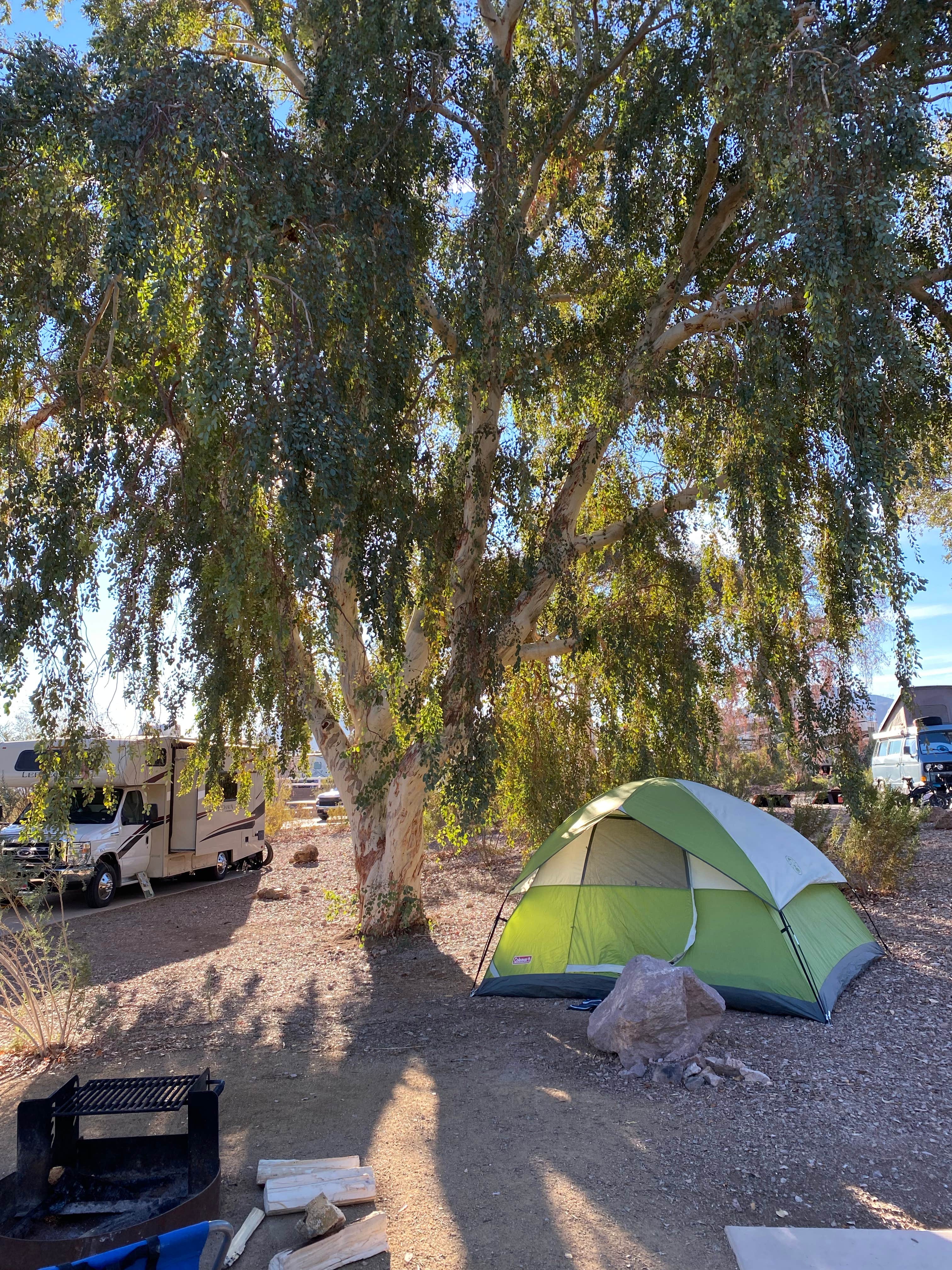 Cresta P.'s photo at Boulder Beach Campground — Lake Mead National Recreation Area near Henderson, NV