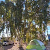 Review photo of Boulder Beach Campground — Lake Mead National Recreation Area by Cresta P., April 11, 2022
