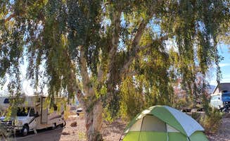 Cresta P.'s photo at Boulder Beach Campground — Lake Mead National Recreation Area near Henderson, NV