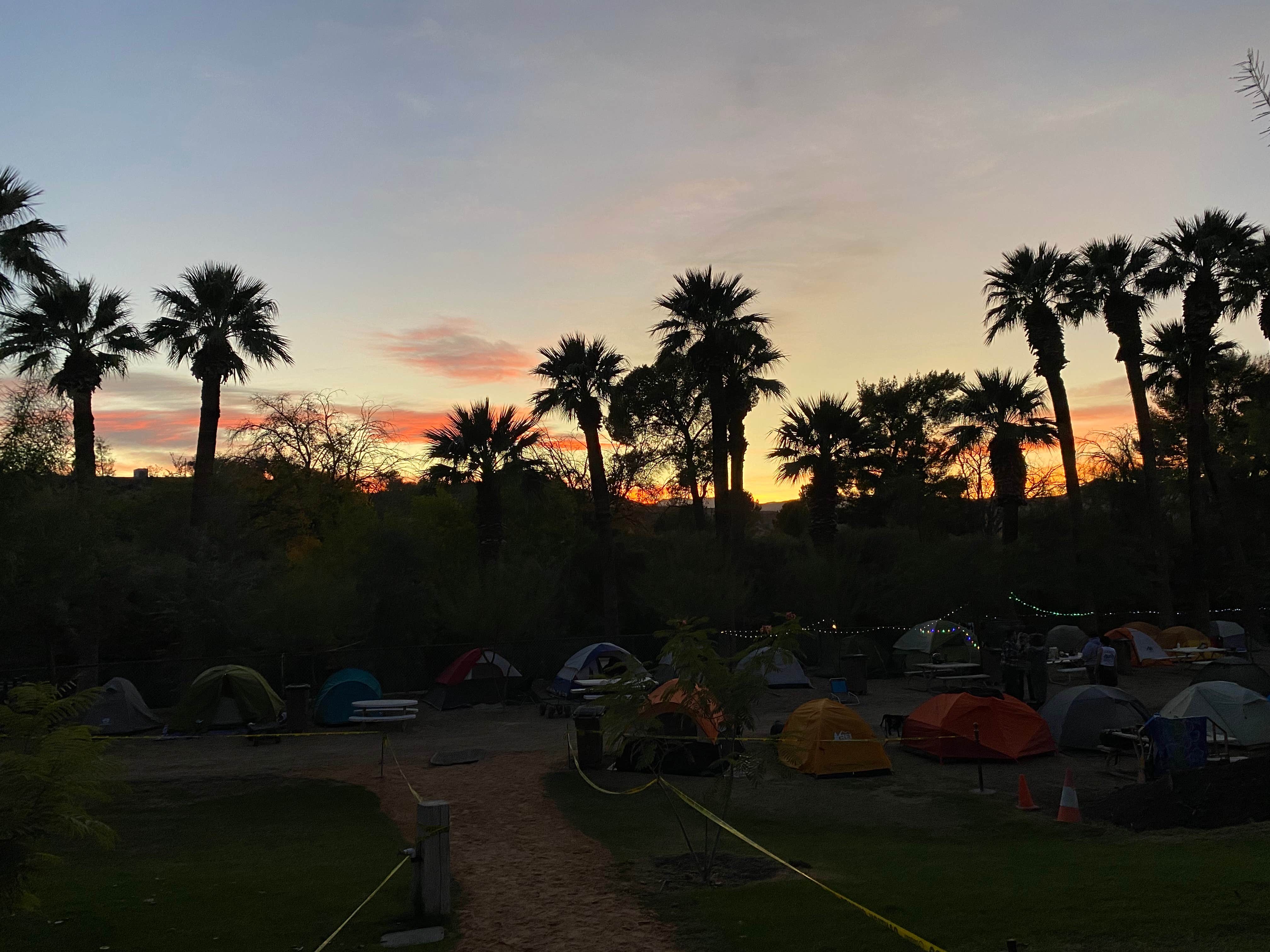 Cresta P.'s photo at Palm Creek Ranch near Bunkerville, NV