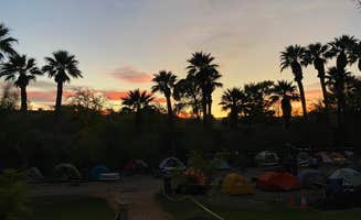 Cresta P.'s photo at Palm Creek Ranch near Bunkerville, NV