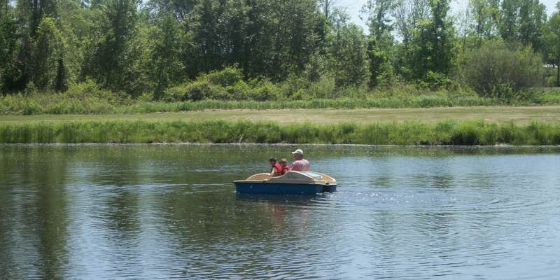 Camper submitted image from Taylors Lost Haven Campground