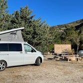 Review photo of Camping @ Quail Run Ostrich Ranch by Lee D., April 11, 2022