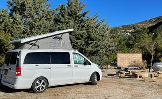 Lee D.'s photo of rv camping at Camping @ Quail Run Ostrich Ranch near Castaic, CA