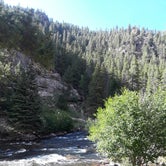 Review photo of Lodgepole (taylor River Canyon Near Gunnison, Colorado) by Susan D., July 12, 2018