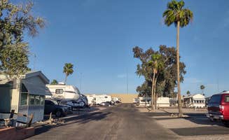 John M.'s photo of rv camping at Prince of Tucson RV Park near Oracle, AZ