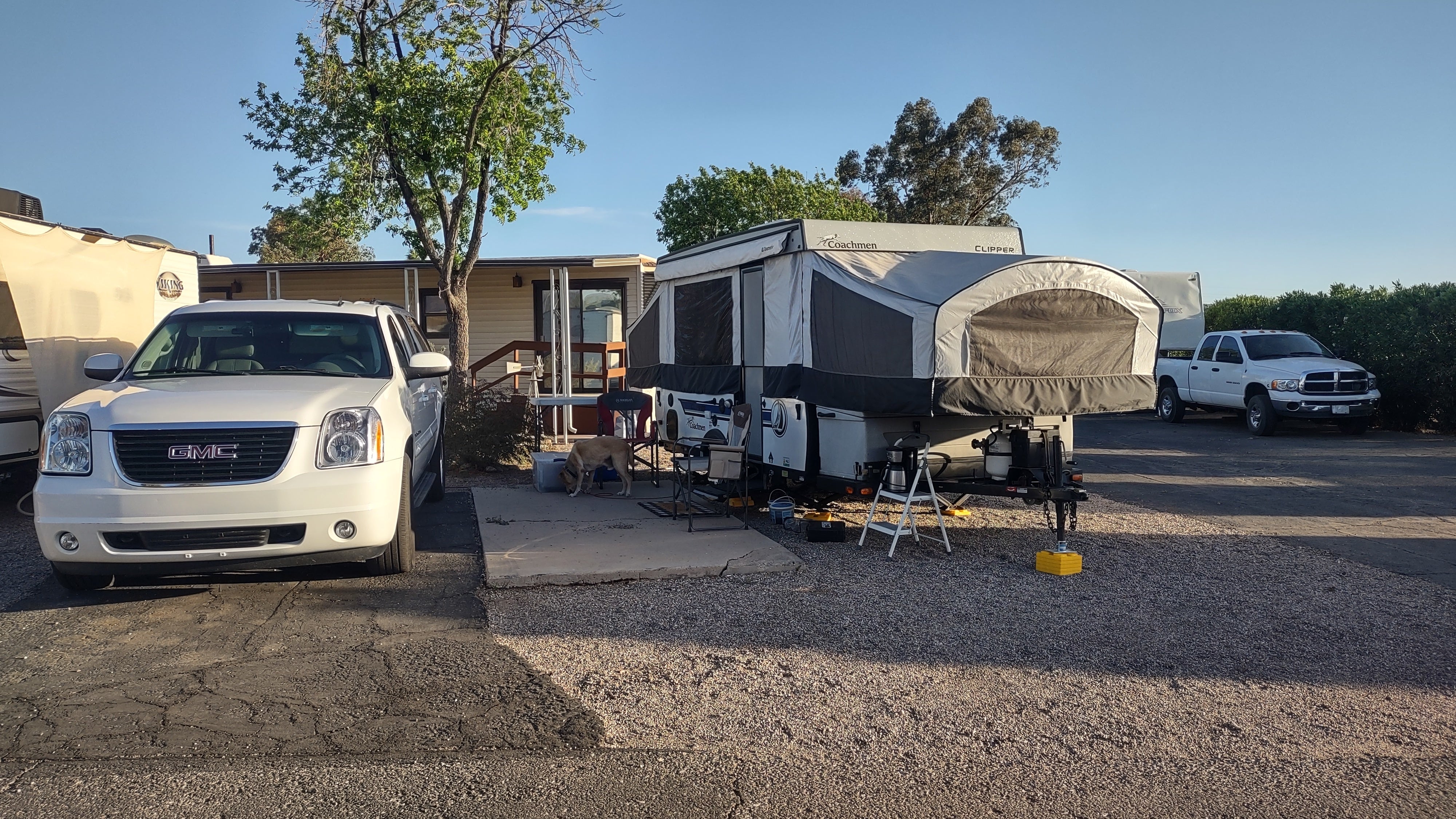 Camper submitted image from Prince of Tucson RV Park - 4