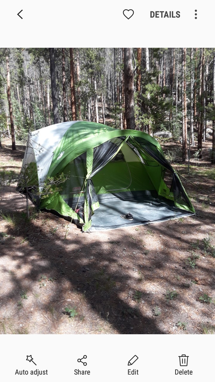 Camper submitted image from Lodgepole (taylor River Canyon Near Gunnison, Colorado) - 5