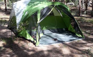 Susan D.'s photo at Lodgepole (taylor River Canyon Near Gunnison, Colorado) near Almont, CO