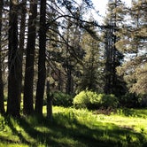 Review photo of Gold Lake 4x4 Campground by Suzie S., July 12, 2018