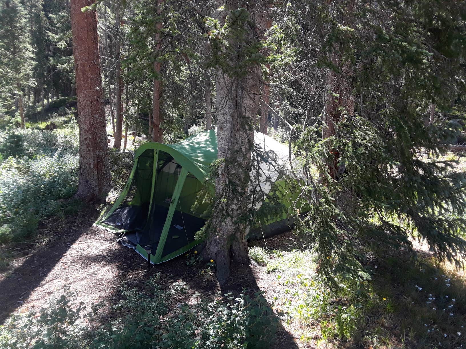 Camper submitted image from Monarch Park - 3
