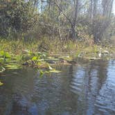 Review photo of Stephen C. Foster State Park Campground by Jeffrey S., April 12, 2022