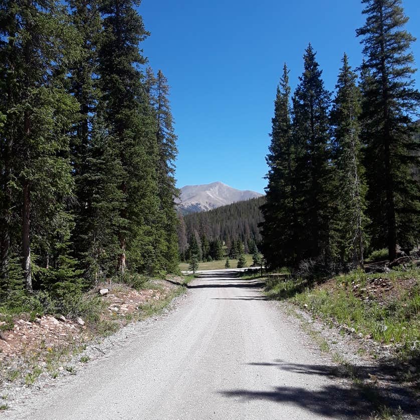 Monarch Park Camping The Dyrt